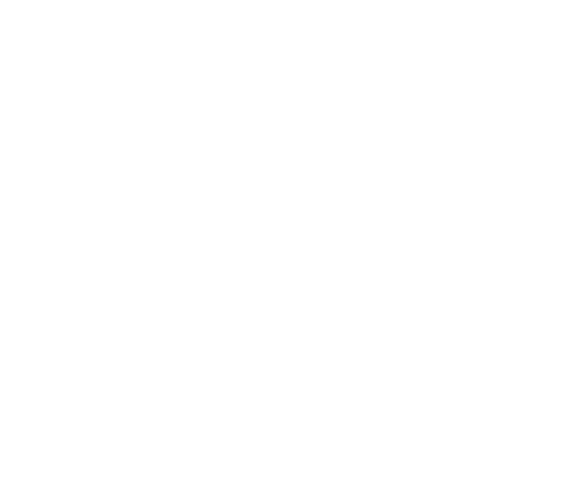 Icône Winner